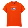 Heavy Cotton™ t-shirt Thumbnail